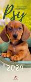 Opakowanie Kalendarz 2024 pocztówkowy Psy
