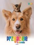 Okładka książki Kalendarz 2024 Ścieny Przyjaciele