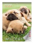 Opakowanie Kalendarz 2024 Szczeniaki lux ścienny