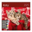 Opakowanie Kalendarz 2025 30x30 Koty