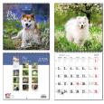 Opakowanie Kalendarz 2025 30x60 13 planszowy Psy Rasowe