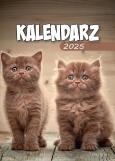 Opakowanie Kalendarz 2025 A6 Zdzierak MIX