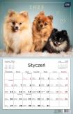 Opakowanie Kalendarz 2025 jednodzielny 32x50cm Psy