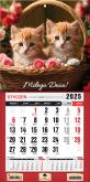 Okładka książki Kalendarz 2025 jednodzielny mini z mag. Kotki