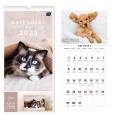 Opakowanie Kalendarz 2025 motywacyjny 22x46cm Koty