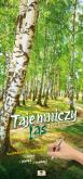 Okładka książki Kalendarz 2025 paskowy szeroki Tajemniczy Las