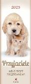 Opakowanie Kalendarz 2025 pocztówkowy Przyjaciele biały