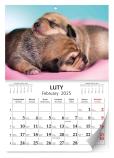 Opakowanie Kalendarz 2025 ścienny Lux Szczeniaki