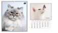 Opakowanie Kalendarz 2025 ścienny planszowy 33,5x40cm Koty