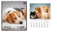Opakowanie Kalendarz 2025 ścienny planszowy 33,5x40cm Psy