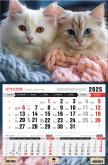 Okładka książki Kalendarz 2025 Trójdzielny jednodzielny Kotki