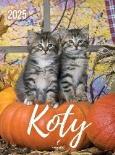 Opakowanie Kalendarz 2025 wieloplanszowy B4 Koty
