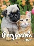 Opakowanie Kalendarz 2025 wieloplanszowy B4 Przyjaciele