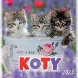 Opakowanie Kalendarz 2025 wieloplanszowy Koty