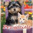 Opakowanie Kalendarz 2025 wieloplanszowy Przyjaciele