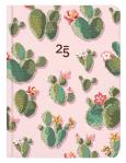 Opakowanie Kalendarz tygodniowy B6 Kaktusy ALBI