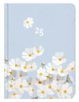 Opakowanie Kalendarz tygodniowy B6 Stokrotki ALBI