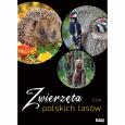 Opakowanie Kalendarz wieloplanszowy 2024 duży ścienny Zwierzę