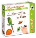 Okładka książki Montessori. Zwierzęta tu i tam. Karty sensoryczne
