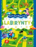 Okładka książki Mózgołamacze. Labirynty
