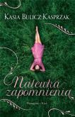 Okładka książki Nalewka Zapomnienia DL