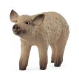 Opakowanie Prosię Mangalica