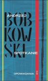 Okładka książki Spotkanie. Opowiadania