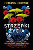 Okładka książki Strzępki życia. O tym, jak grzyby tworzą nasz świat, zmieniają nasz umysł i kształtują naszą przyszł