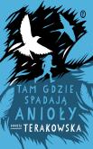 Okładka książki Tam, gdzie spadają Anioły