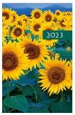 Opakowanie Terminarz 2023 B7 Kolorowy kwiaty
