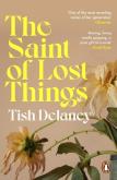 The Saint of Lost Things. Autor: Delaney Tish. Dobreksiazki.pl Okładka książki The Saint of Lost Things