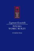 Okładka książki Wobec burzy