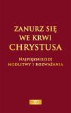 Okładka książki Zanurz się we Krwi Chrystusa