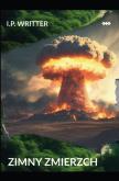 Okładka książki Zimny zmierzch