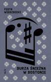 Okładka książki Burza śnieżna w Bostonie
