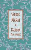Okładka książki Csutora. Psia powieść