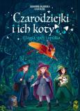 Okładka książki Czarodziejki i ich koty. Magia, gafy i spółka