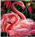 Opakowanie Diamentowa Mozaika Flamingi duże różowe NO-1007350