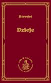 Okładka książki Dzieje