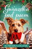 Okładka książki Gwiazdka pod psem