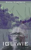 Okładka książki Igliwie czyli niespieszne rozmowy  nie tylko o literaturze