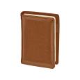 Opakowanie Kalendarz 2026 A6 wymienny wkład dzienny brązowy