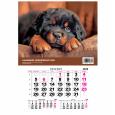 Opakowanie Kalendarz 2026 jednodzielny Pies