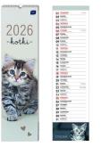 Opakowanie Kalendarz 2026 paskowy 13,5x50cm Koty