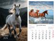 Opakowanie Kalendarz 2026 ścienny 13-k Konie