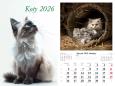 Opakowanie Kalendarz 2026 ścienny 13-k Koty
