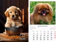Opakowanie Kalendarz 2026 ścienny 13-k Psy