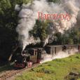 Opakowanie Kalendarz 2026 ścienny 32x32cm Parowozy