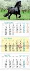 Opakowanie Kalendarz 2026 ścienny trójdzielny Koń