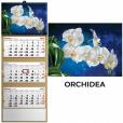Opakowanie Kalendarz 2026 trójdzielny orchidea